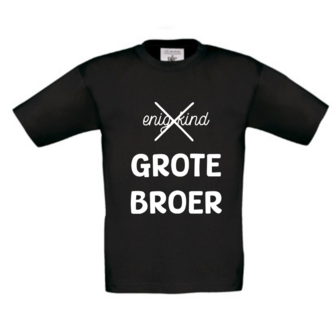 Grote broer